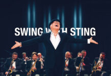 swing with sting cover